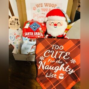 Holiday Plaid Dog Bandana and Gift Set